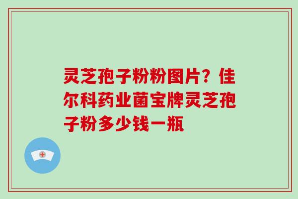 灵芝孢子粉粉图片？佳尔科药业菌宝牌灵芝孢子粉多少钱一瓶