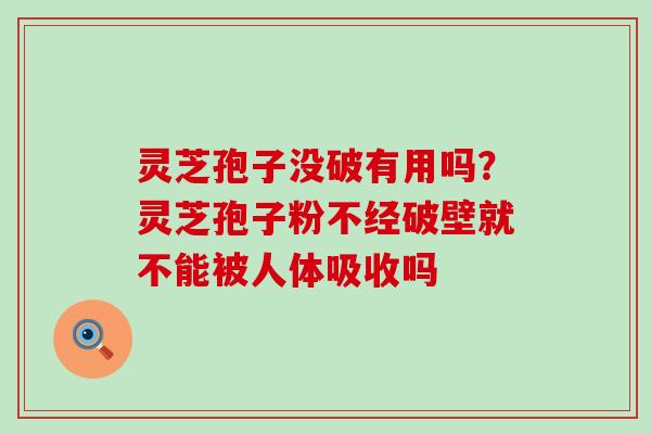 灵芝孢子没破有用吗？灵芝孢子粉不经破壁就不能被人体吸收吗