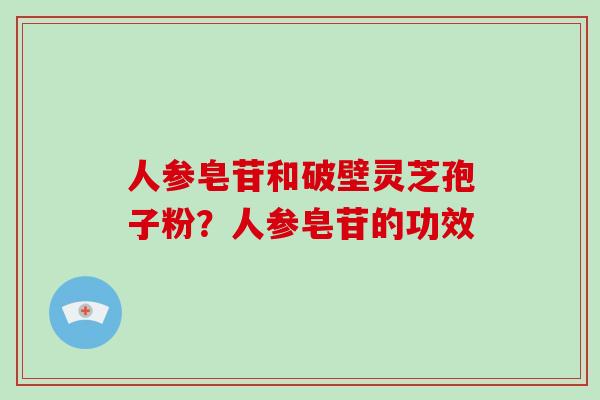 人参皂苷和破壁灵芝孢子粉？人参皂苷的功效