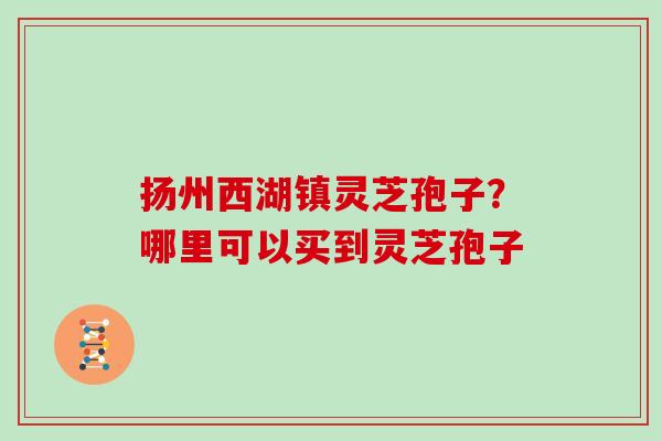 扬州西湖镇灵芝孢子？哪里可以买到灵芝孢子