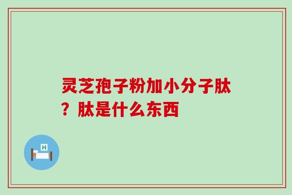 灵芝孢子粉加小分子肽？肽是什么东西