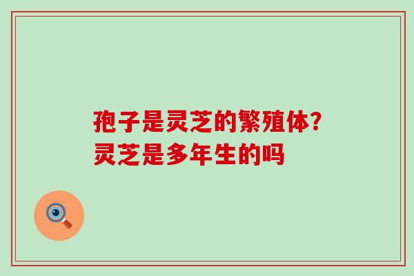 孢子是灵芝的繁殖体？灵芝是多年生的吗