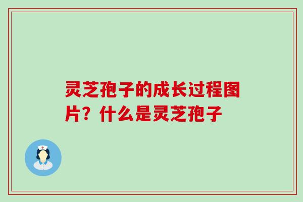 灵芝孢子的成长过程图片？什么是灵芝孢子