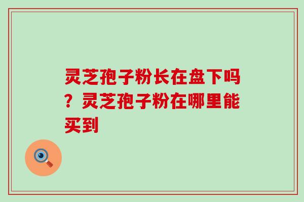 灵芝孢子粉长在盘下吗？灵芝孢子粉在哪里能买到