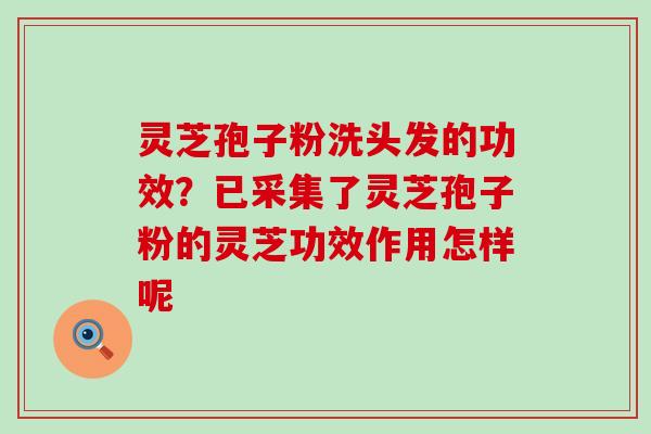 灵芝孢子粉洗头发的功效？已采集了灵芝孢子粉的灵芝功效作用怎样呢