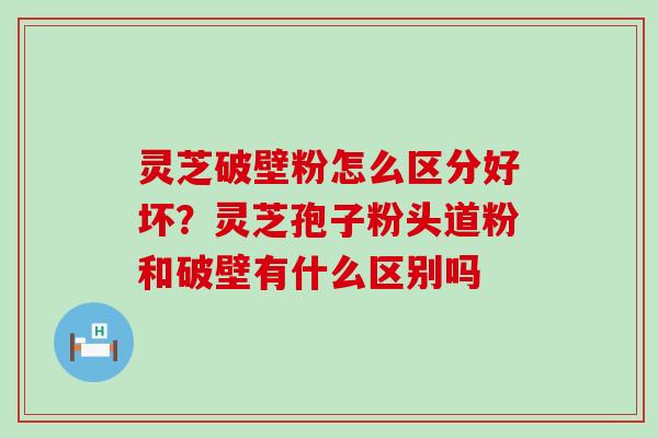 灵芝破壁粉怎么区分好坏？灵芝孢子粉头道粉和破壁有什么区别吗