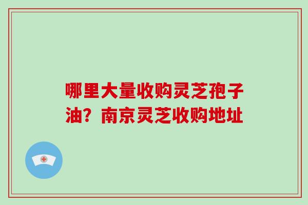 哪里大量收购灵芝孢子油？南京灵芝收购地址