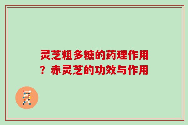 灵芝粗多糖的药理作用？赤灵芝的功效与作用