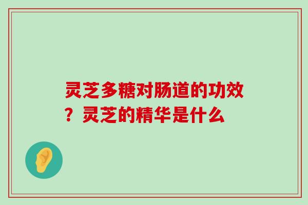 灵芝多糖对肠道的功效？灵芝的精华是什么