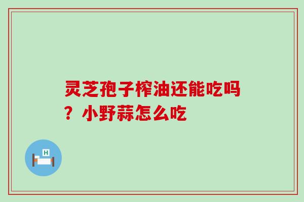 灵芝孢子榨油还能吃吗？小野蒜怎么吃