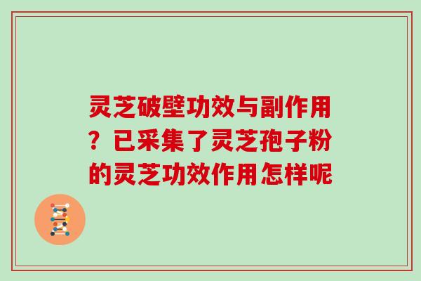 灵芝破壁功效与副作用？已采集了灵芝孢子粉的灵芝功效作用怎样呢