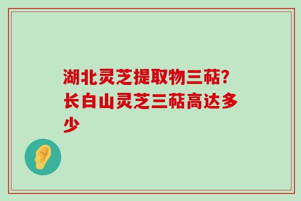 湖北灵芝提取物三萜？长白山灵芝三萜高达多少