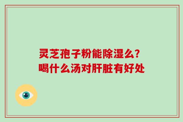 灵芝孢子粉能除湿么？喝什么汤对有好处