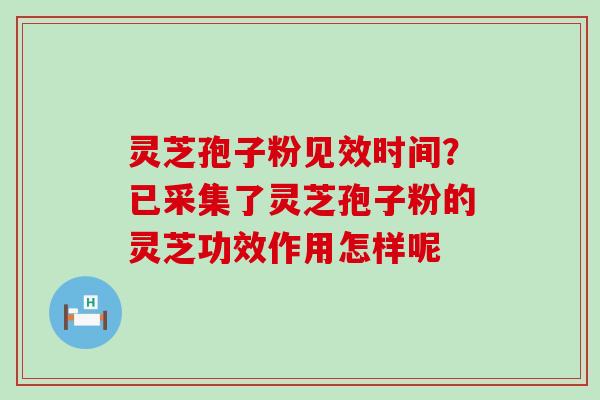 灵芝孢子粉见效时间？已采集了灵芝孢子粉的灵芝功效作用怎样呢