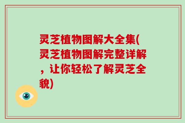 灵芝植物图解大全集(灵芝植物图解完整详解，让你轻松了解灵芝全貌)