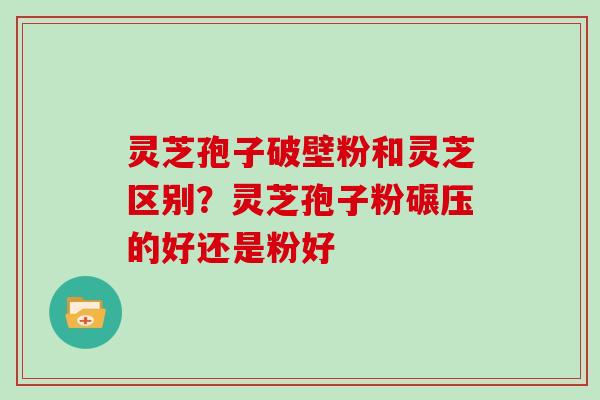 灵芝孢子破壁粉和灵芝区别？灵芝孢子粉碾压的好还是粉好