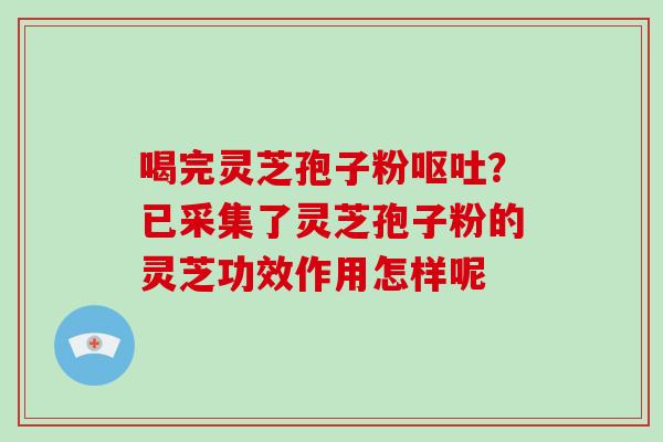 喝完灵芝孢子粉？已采集了灵芝孢子粉的灵芝功效作用怎样呢