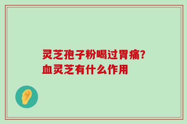 灵芝孢子粉喝过胃痛？灵芝有什么作用