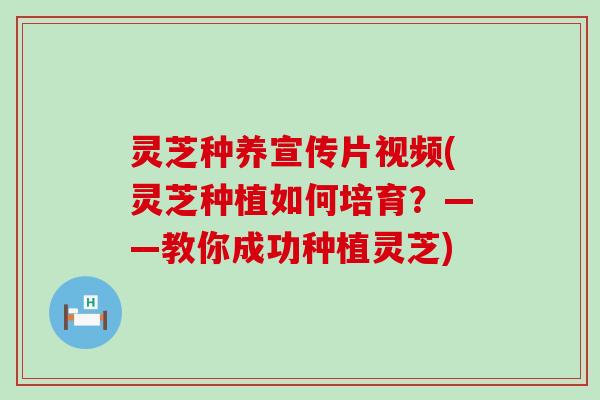 灵芝种养宣传片视频(灵芝种植如何培育？——教你成功种植灵芝)