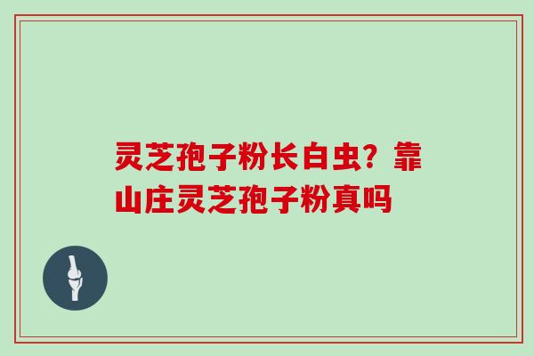 灵芝孢子粉长白虫？靠山庄灵芝孢子粉真吗