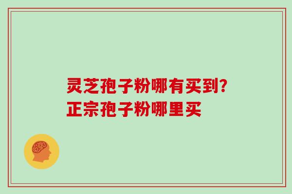 灵芝孢子粉哪有买到？正宗孢子粉哪里买