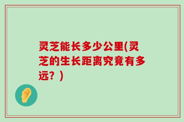 灵芝能长多少公里(灵芝的生长距离究竟有多远？)