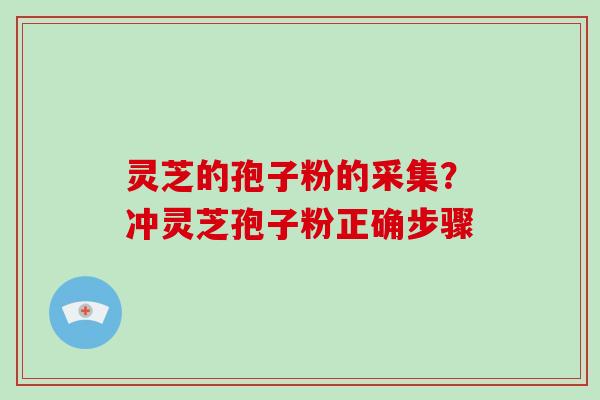 灵芝的孢子粉的采集？冲灵芝孢子粉正确步骤