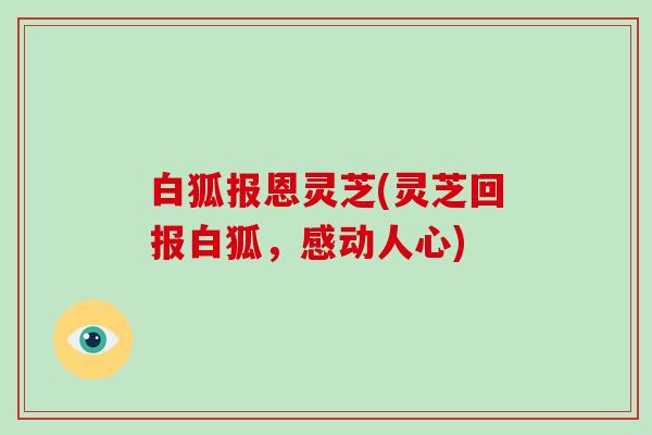 白狐报恩灵芝(灵芝回报白狐，感动人心)