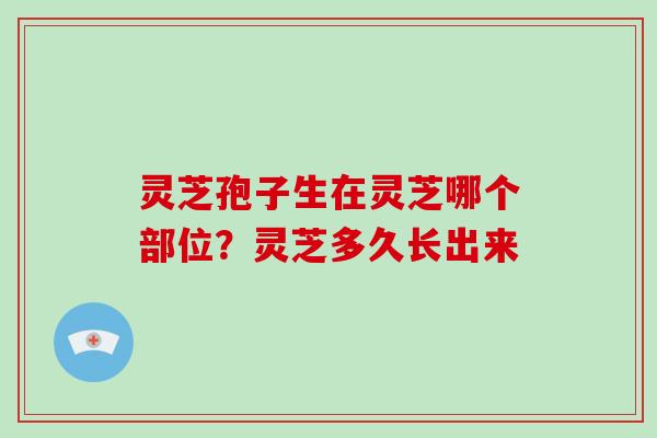 灵芝孢子生在灵芝哪个部位？灵芝多久长出来