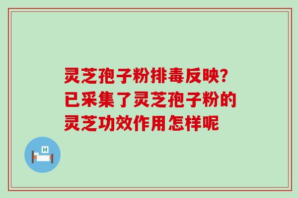 灵芝孢子粉反映？已采集了灵芝孢子粉的灵芝功效作用怎样呢