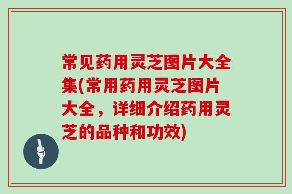 常见药用灵芝图片大全集(常用药用灵芝图片大全，详细介绍药用灵芝的品种和功效)