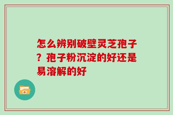 怎么辨别破壁灵芝孢子？孢子粉沉淀的好还是易溶解的好