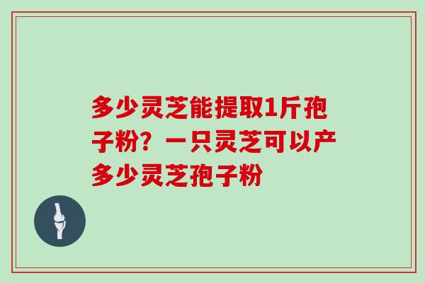 多少灵芝能提取1斤孢子粉？一只灵芝可以产多少灵芝孢子粉