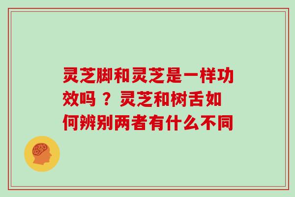 灵芝脚和灵芝是一样功效吗 ？灵芝和树舌如何辨别两者有什么不同