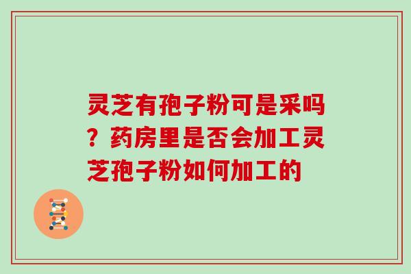 灵芝有孢子粉可是采吗？药房里是否会加工灵芝孢子粉如何加工的