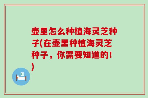 壶里怎么种植海灵芝种子(在壶里种植海灵芝种子，你需要知道的！)