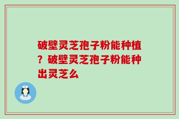 破壁灵芝孢子粉能种植？破壁灵芝孢子粉能种出灵芝么