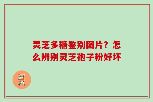 灵芝多糖鉴别图片？怎么辨别灵芝孢子粉好坏