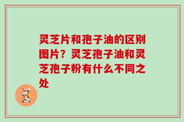 灵芝片和孢子油的区别图片？灵芝孢子油和灵芝孢子粉有什么不同之处