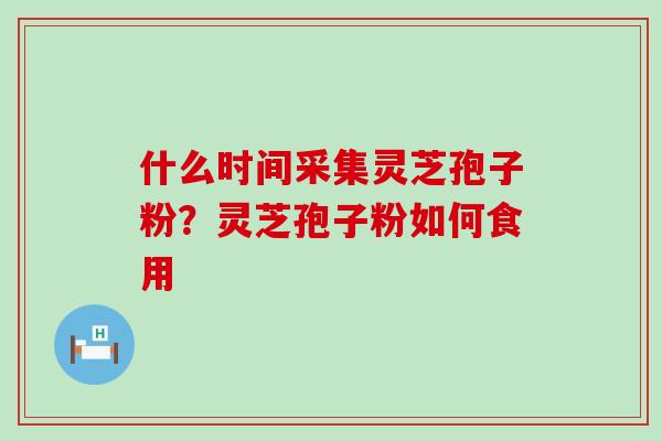 什么时间采集灵芝孢子粉？灵芝孢子粉如何食用