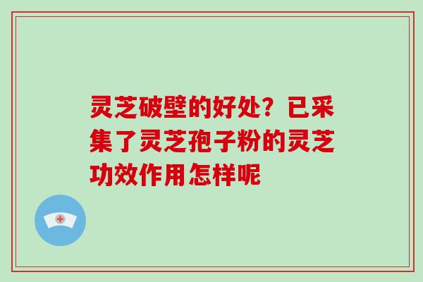 灵芝破壁的好处？已采集了灵芝孢子粉的灵芝功效作用怎样呢