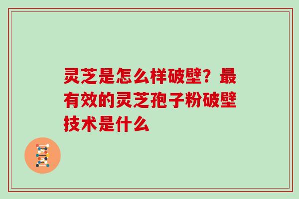 灵芝是怎么样破壁？有效的灵芝孢子粉破壁技术是什么