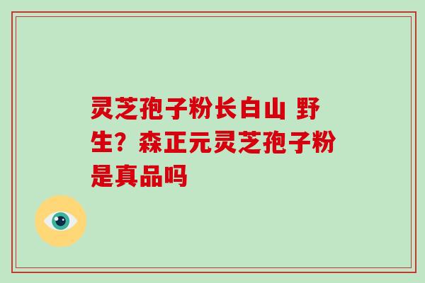 灵芝孢子粉长白山 野生？森正元灵芝孢子粉是真品吗