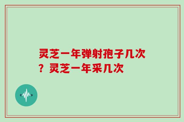 灵芝一年弹射孢子几次？灵芝一年采几次