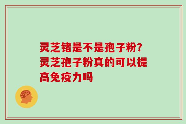 灵芝锗是不是孢子粉？灵芝孢子粉真的可以提高免疫力吗