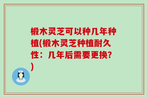 椴木灵芝可以种几年种植(椴木灵芝种植耐久性：几年后需要更换？)