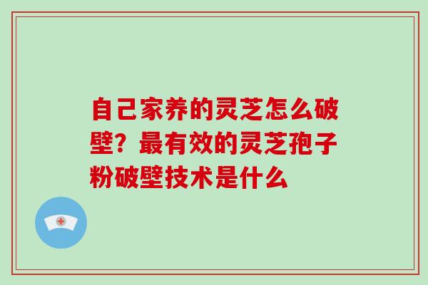 自己家养的灵芝怎么破壁？有效的灵芝孢子粉破壁技术是什么