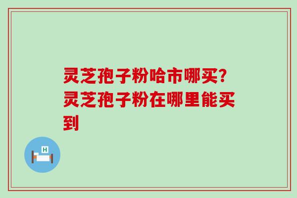 灵芝孢子粉哈市哪买？灵芝孢子粉在哪里能买到