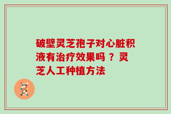 破壁灵芝孢子对积液有效果吗 ？灵芝人工种植方法