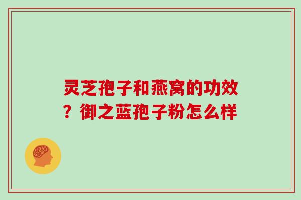 灵芝孢子和燕窝的功效？御之蓝孢子粉怎么样